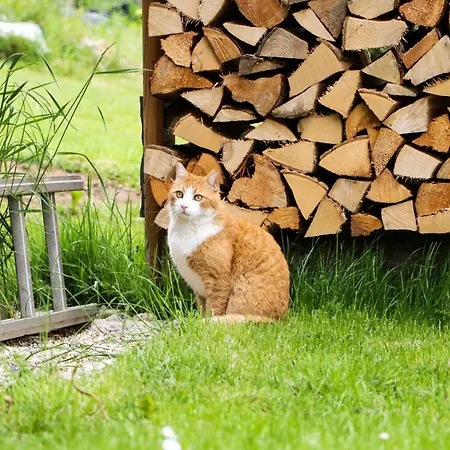 Domek alpejski Haus Sulmwirtmueller Mit Jacuzzi Und Sauna